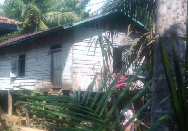 Indepth: Rumah Panggung Saksi Hubungan Intim Kakak-Adik