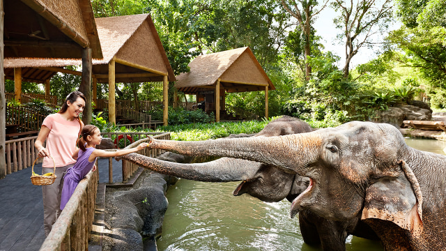 Singapore Zoo (Foto: Others/Dok. Singapore Tourism Board)