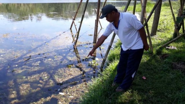 Alami Sedimentasi, Rawa Klampok Bakal Direvitalisasi