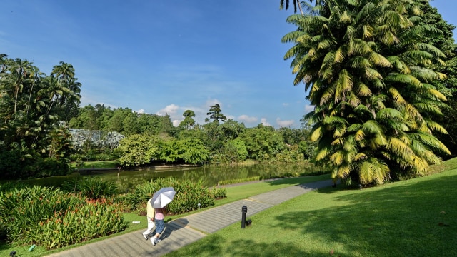 Kebun Botani Singapura (Foto: Roslan Ramhan/AFP)
