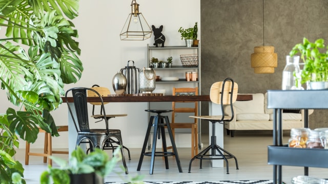 Tanaman hijau untuk dekorasi rumah. (Foto: Thinkstock)