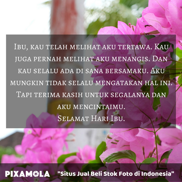 5 Ucapan Selamat Terbaik untuk diberikan kepada Ibumu di Hari Ibu (2)