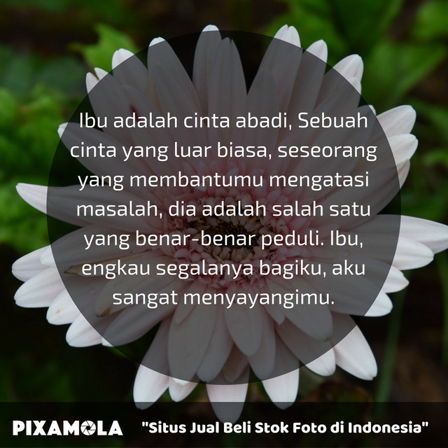 5 Ucapan Selamat Terbaik untuk diberikan kepada Ibumu di Hari Ibu (3)
