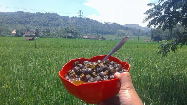 Masakan hasil olahan tutut (Foto: IG @sundabagja )