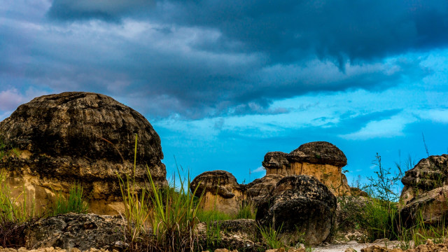 Bukit Jamur Gresik  (Foto: dok Flickr/August Mushtofa)