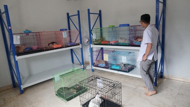 Jasa Penitipan Hewan Jelang Idul Fitri (Foto: Fanny Kusumawardhani/kumparan)