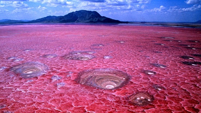 Kerak di Lake Natron. (Foto: Flickr/SearchOfLife Blog)