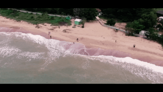 Pantai Nepa, Jawa Timur. (Foto: Youtube/ PEVF)