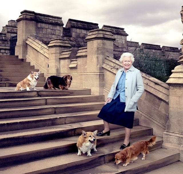 Ratu Elizabeth II dan corgi kesayangannya (Foto: Dok. Samantha Buchanan-Cornell )