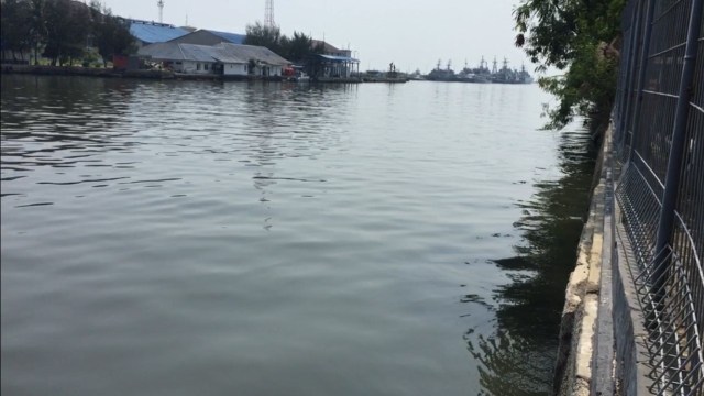 Lokasi penembakan buaya (Foto: Fachrul Irwinsyah/kumparan)