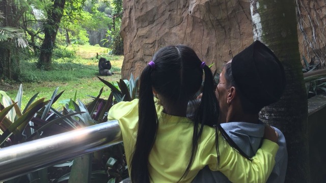 Suasana Kebun Binatang Ragunan (Foto: Reki Febrian/kumparan)