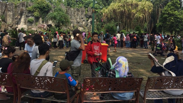 Suasana Kebun Binatang Ragunan (Foto: Reki Febrian/kumparan)