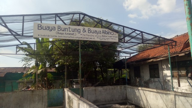 Suasana Taman Buaya Indonesia Jaya di Cibarusah (Foto:  Ainul Qalbi/kumparan)