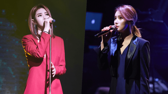 Gummy (Foto: Instagram @cjes.tagram)