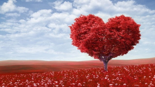 Cinta