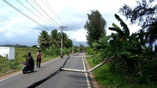 Tiang Listrik dan Pohon Tumbang di Aceh Besar (Foto: Zuhri Noviandi/kumparan)