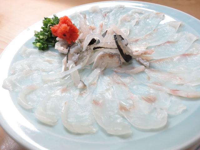 Ikan fugu, Eropa (Foto: Thinkstock)