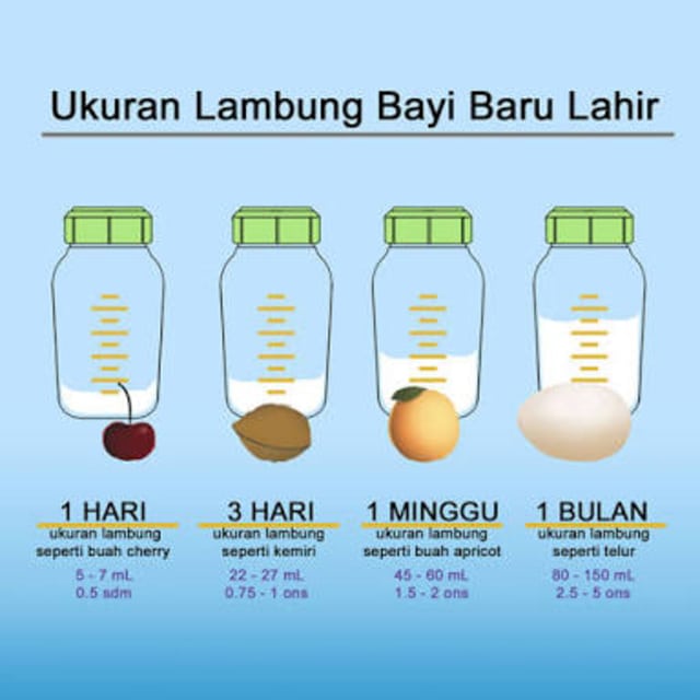 Ukuran Lambung Bayi dan Kapasitas ASI (1)