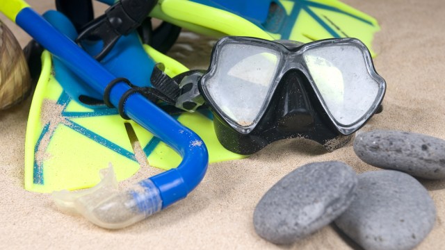 Ilustrasi peralatan diving (Foto: shutterstock)