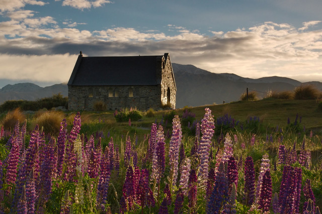Gereja di Tepi Danau Tekapo (Foto: Flickr / Jamie Bodley-Scott)