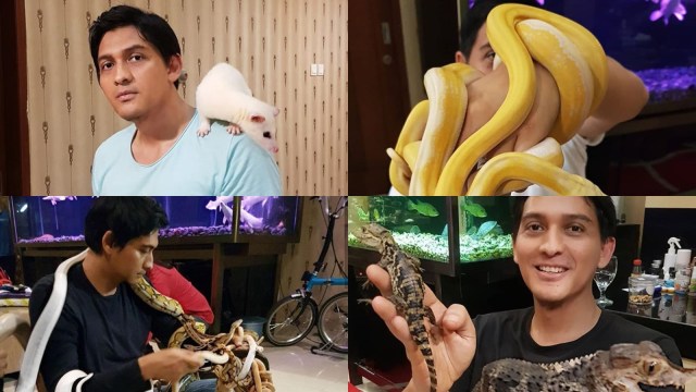 Lucky Hakim pelihara 300 binatang di rumahnya. (Foto: Instagram @luckyhakimofficial)