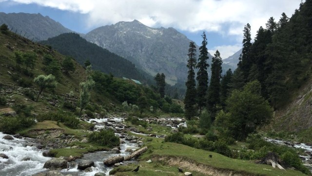 Tips Bagi Turis Untuk Survive Di Daerah Konflik (1)