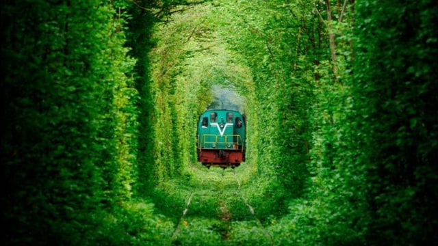 Tunnel of Love, Ukraina Foto: Wikimedia Commons