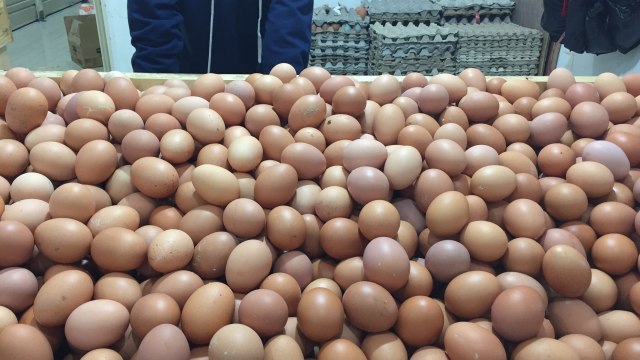 Telur Ayam di Pasar Senen, Jakarta (Foto: Ema Fitriyani/kumparan)