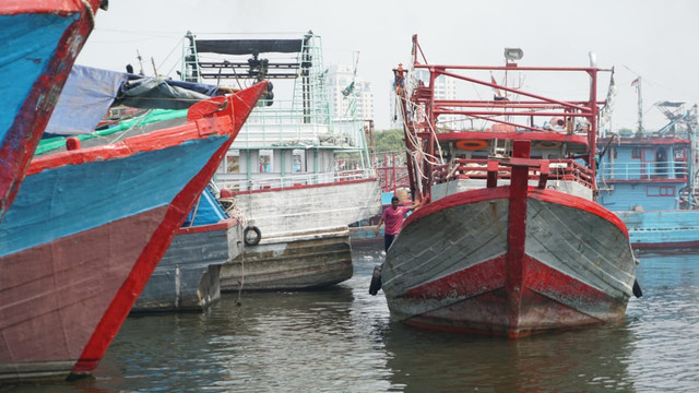 Aktivitas di Pelabuhan Muara Baru (Foto: Iqbal Firdaus/kumparan)