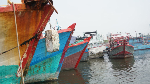 Aktivitas di Pelabuhan Muara Baru (Foto: Iqbal Firdaus/kumparan)