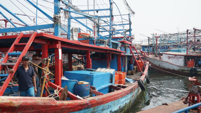Aktivitas di Pelabuhan Muara Baru (Foto: Iqbal Firdaus/kumparan)