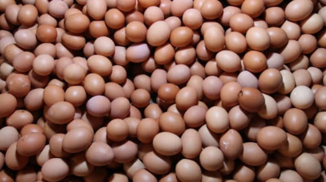 Lebaran Telah Berlalu, Harga Telur Tetap Melambung