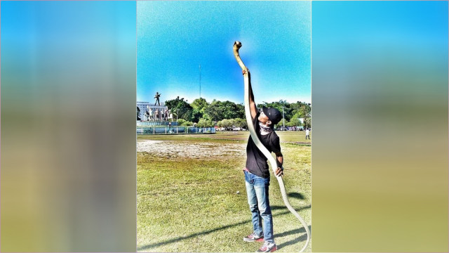 Risky Ahmad, remaja yang dipatok ular king cobra (Foto: Facebook/Yuni Rusmini)