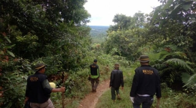 Cagar Alam Maninjau Dapat Pengawasan dari BKSDA