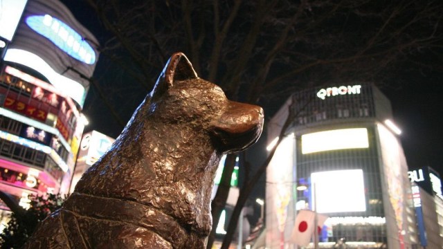 Patung Hachiko. (Foto: Flickr/Dominiek ter Heide)