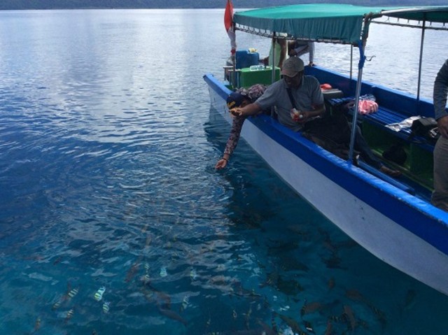 Larangan Adat Menangkap Ikan di Raja Ampat Tiap Jumat dan Minggu