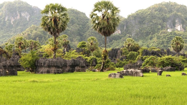 Geopark Maros-Pangkep, Sulawesi  Selatan. (Foto: Flickr/Ikbal Syukroni)