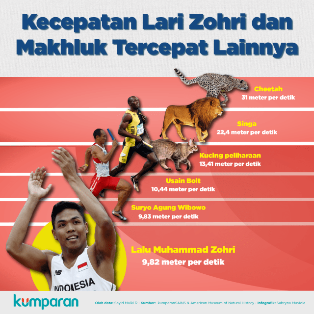 Kecepatan lari Zohri dan makhluk tercepat lain (Foto:  Sabryna Putri Muviola/kumparan)