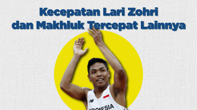Kecepatan lari Zohri dan makhluk tercepat lain (Foto:  Sabryna Putri Muviola/kumparan)