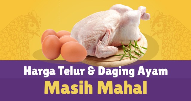 Harga telur dan daging ayam masih mahal. (Foto: Putri Arifira/kumparan)