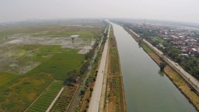 Suasana sawah di Rorotan, Cilincing, Jakarta Utara. (Foto: Jamal Ramadhan/kumparan)