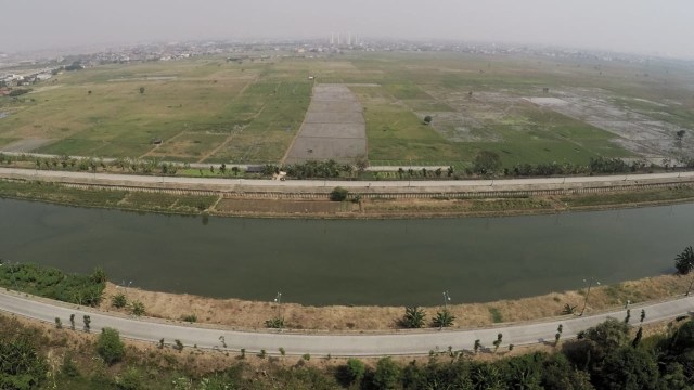 Suasana sawah di Rorotan, Cilincing, Jakarta Utara. (Foto: Jamal Ramadhan/kumparan)