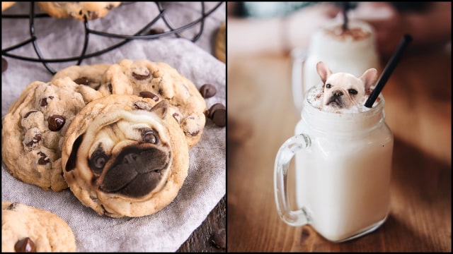 Perpaduan anjing dan makanan (Foto: Instagram @dogs_infood)