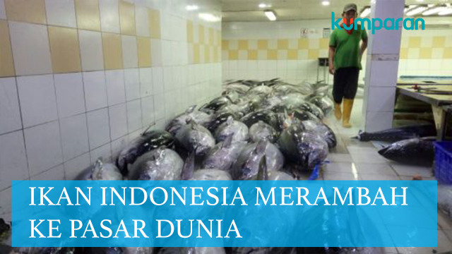Ikan tuna hasil tangkapan nelayan. (Foto: kumparan)