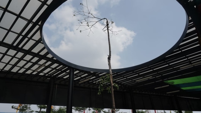 Kondisi Taman Kalijodo. (Foto: Irfan Adi Saputra/kumparan)