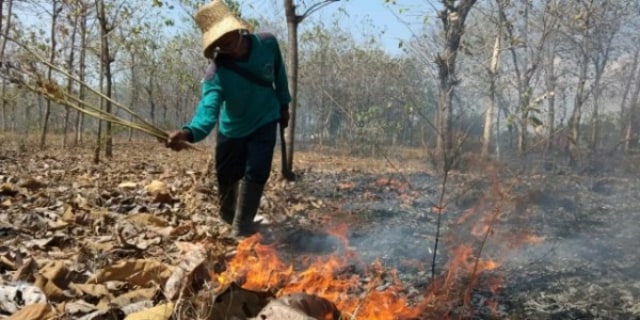 Aman Sendirian Padamkan Kebakaran Hutan Jati Peteng