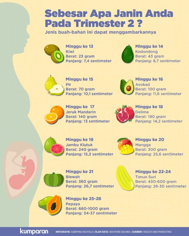Infografik mengenai janin. (Foto: Sabrina Muviola/kumparan)
