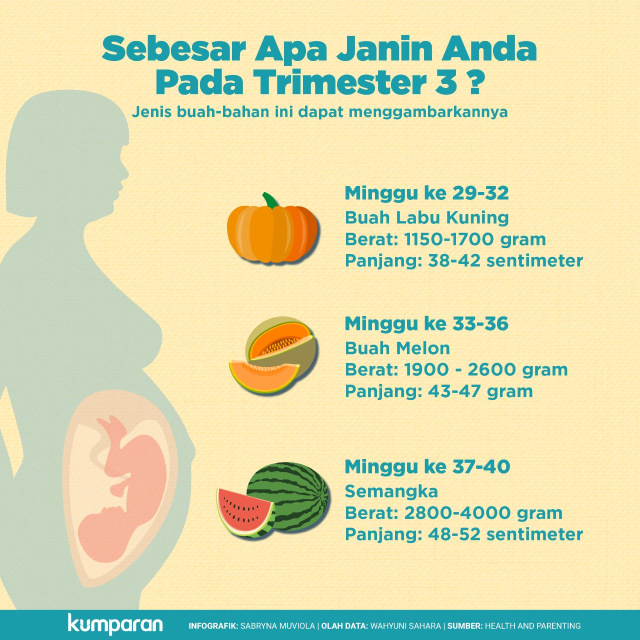 Infografik mengenai janin. (Foto: Sabrina Muviola/kumparan)