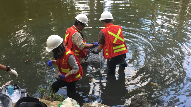 Pengecekan kualitas air di Sungai Katak dekat area tambang emas BSI (Foto: Ema Fitriyani/kumparan)