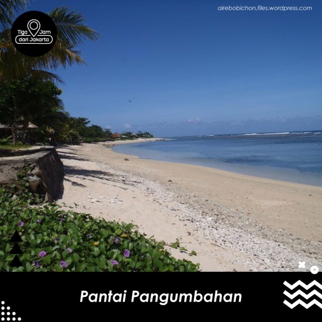 Berselancar Dengan Penyu Hijau di Pantai Pangumbahan